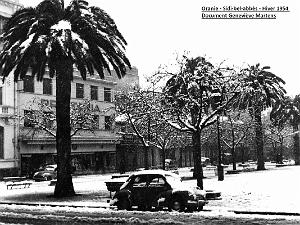 Sidi bel abbes 382